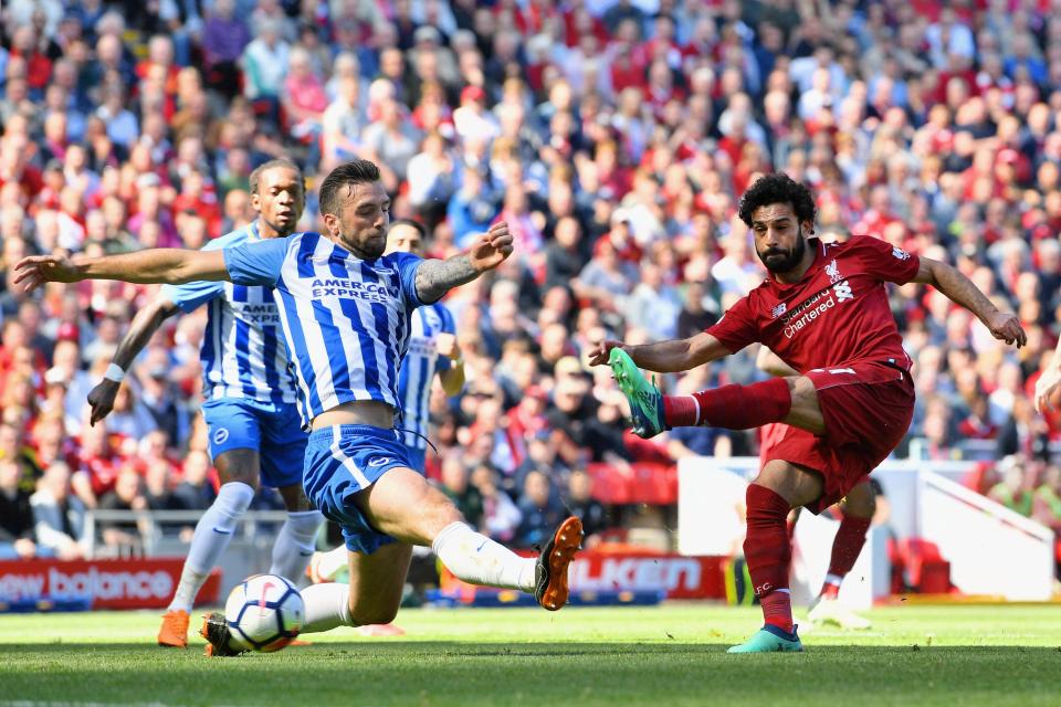 Trực tiếp Brighton vs Liverpool, Brighton vs Liverpool, Liverpool, Brighton
