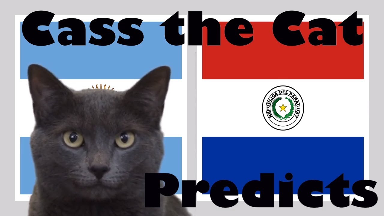 dự đoán argentina vs paraguay, soi kèo argentina vs paraguay, argentina vs paraguay, argentina, paraguay, copa america, mèo tiên tri, tiên tri, méo cass, cass the cat