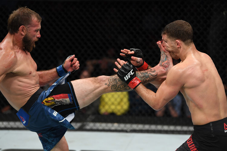UFC, võ, cao bồi ufc, Donald Cerrone, Alexander Hernandez, đấm như máy, võ ufc, võ sĩ ufc, đánh nhau, 