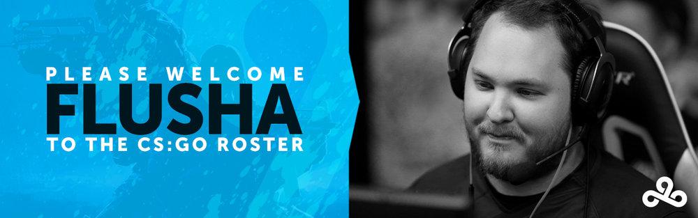 CS:GO, flusha, IEM Katowice 2019, gia đình game thủ