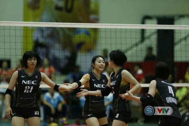 vtv cup 2019, hot girl bóng chuyền, nec red rockets, nữ vđv bóng chuyền xinh đẹp, hoa khôi vtv cup 2019