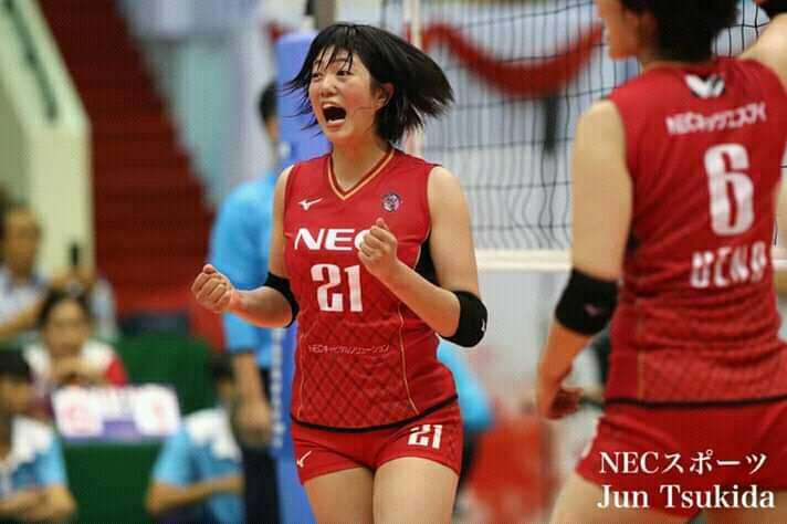 vtv cup 2019, hot girl bóng chuyền, nec red rockets, nữ vđv bóng chuyền xinh đẹp, hoa khôi vtv cup 2019