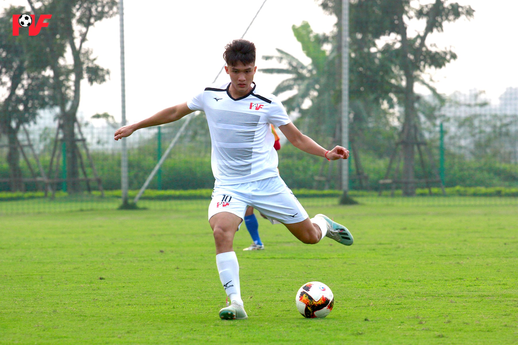 vo nguyen hoang