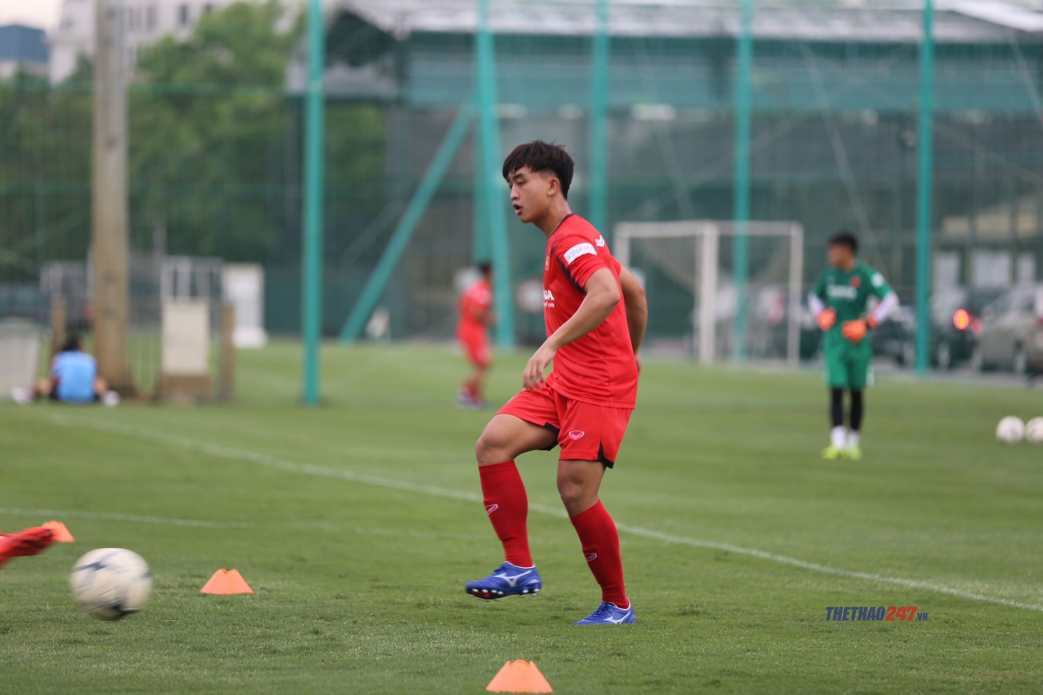 tran danh trung
