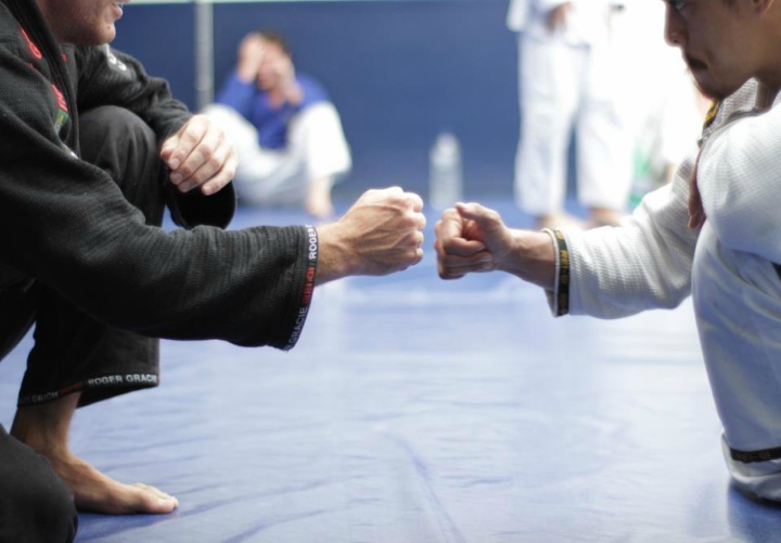 Brazilian Jiu-jitsu, BJJ, văn hóa, 