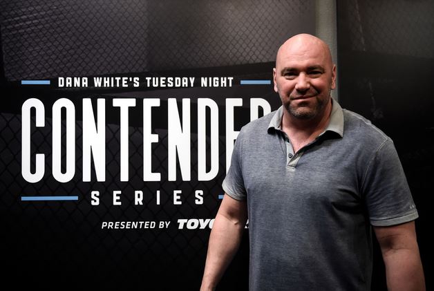 UFC, MMA, FOX Sports, ESPN, 
