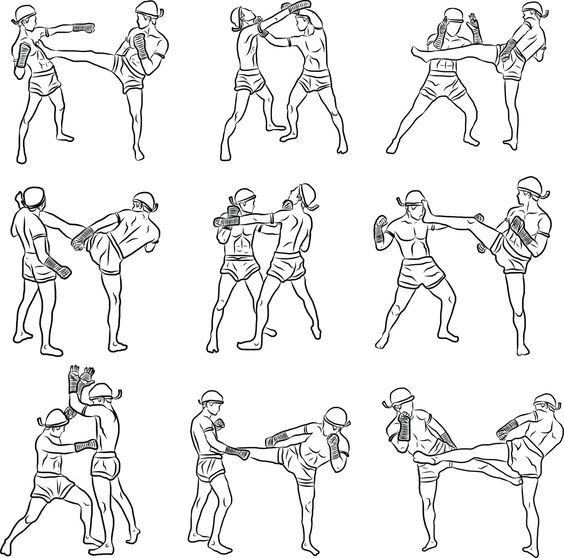 MMA, UFC, thuật ngữ, tập luyện, khái niệm, cơ bản