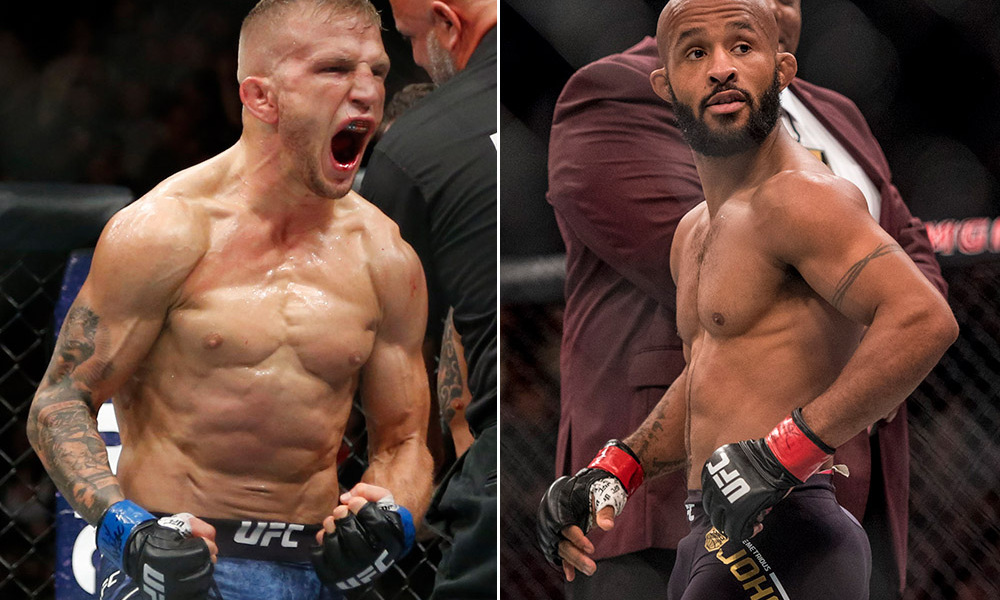 UFC, MMA, TJ Dillashaw, Mighty Mouse, Demetrious Johnson, Cody Garbrandt, Henry Cejudo, knockout