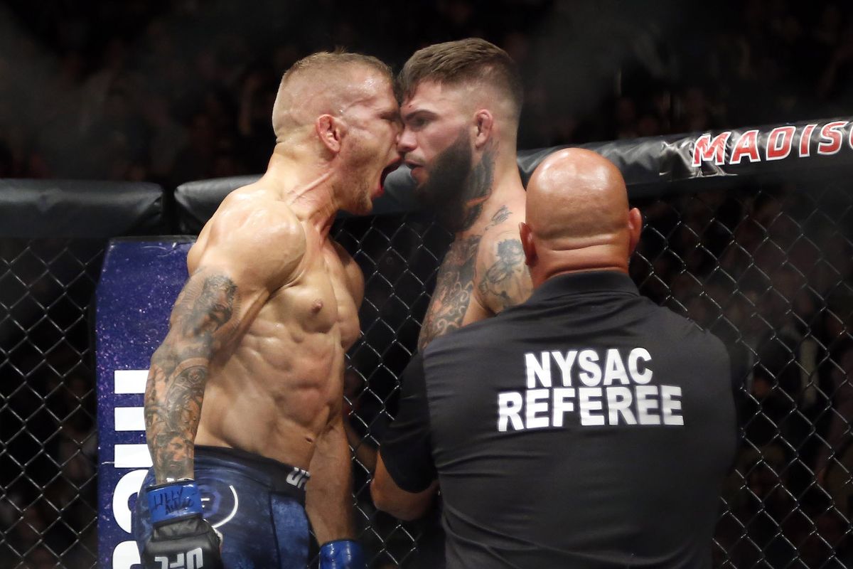 UFC, MMA, TJ Dillashaw, Mighty Mouse, Demetrious Johnson, Cody Garbrandt, Henry Cejudo, knockout
