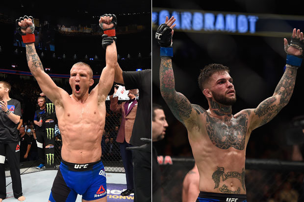 TJ Dillashaw, UFC 227, Dominick Cruz, Cody Garbrandt, võ sĩ vĩ đại nhất, TJ vs Cody, tái đấu, Conor McGregor, 