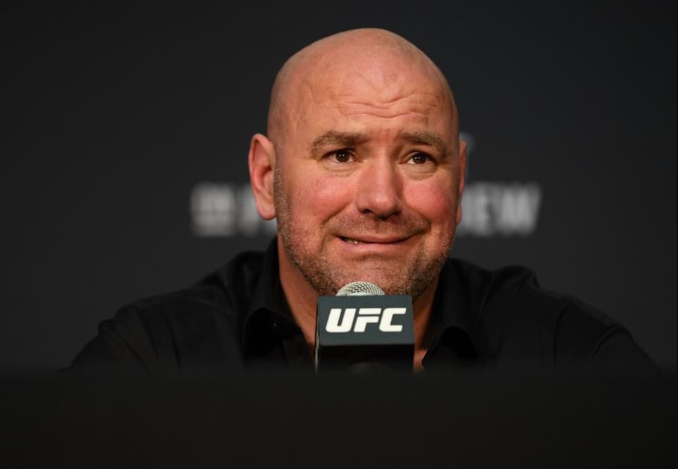 án phạt Khabib, Khabib bị tước đai, Khabib vs Conor ufc 229, khabib vs conor