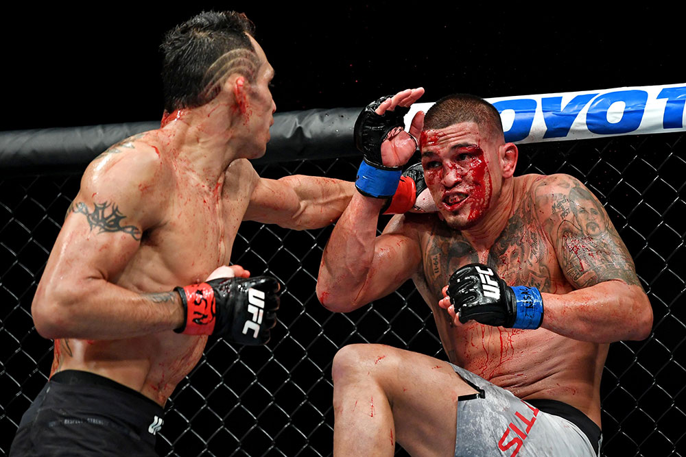tony vs khabib, conor tái đấu khabib, blv joe rogan khẳng định tony đấu khabib,