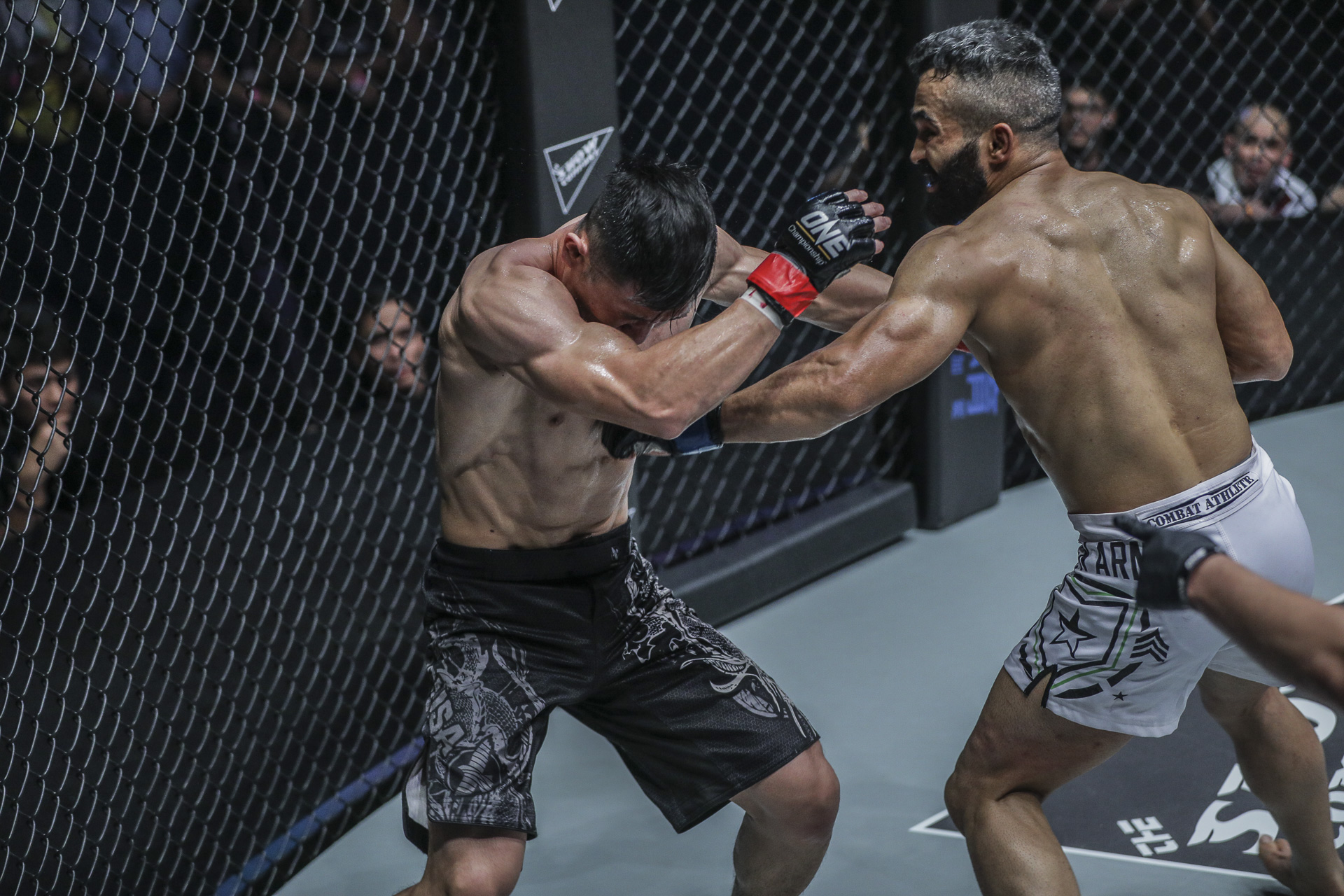 trực tiếp one championship 2018, one championship, one championship 
