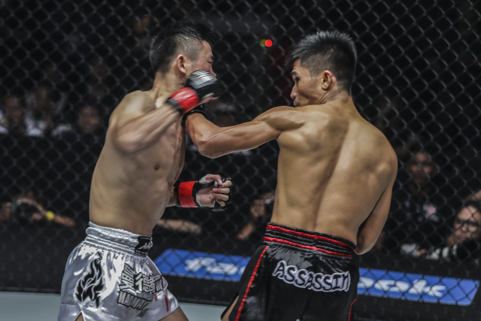 trực tiếp one championship 2018, one championship, one championship 