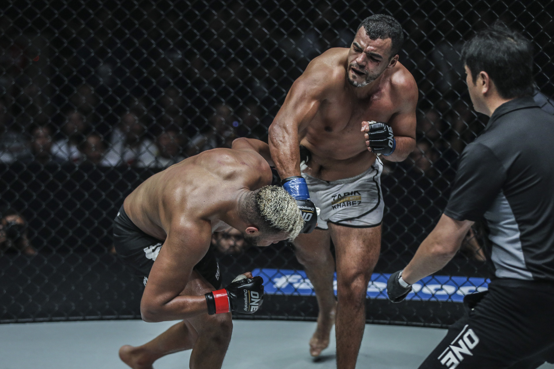 trực tiếp one championship 2018, one championship, one championship 