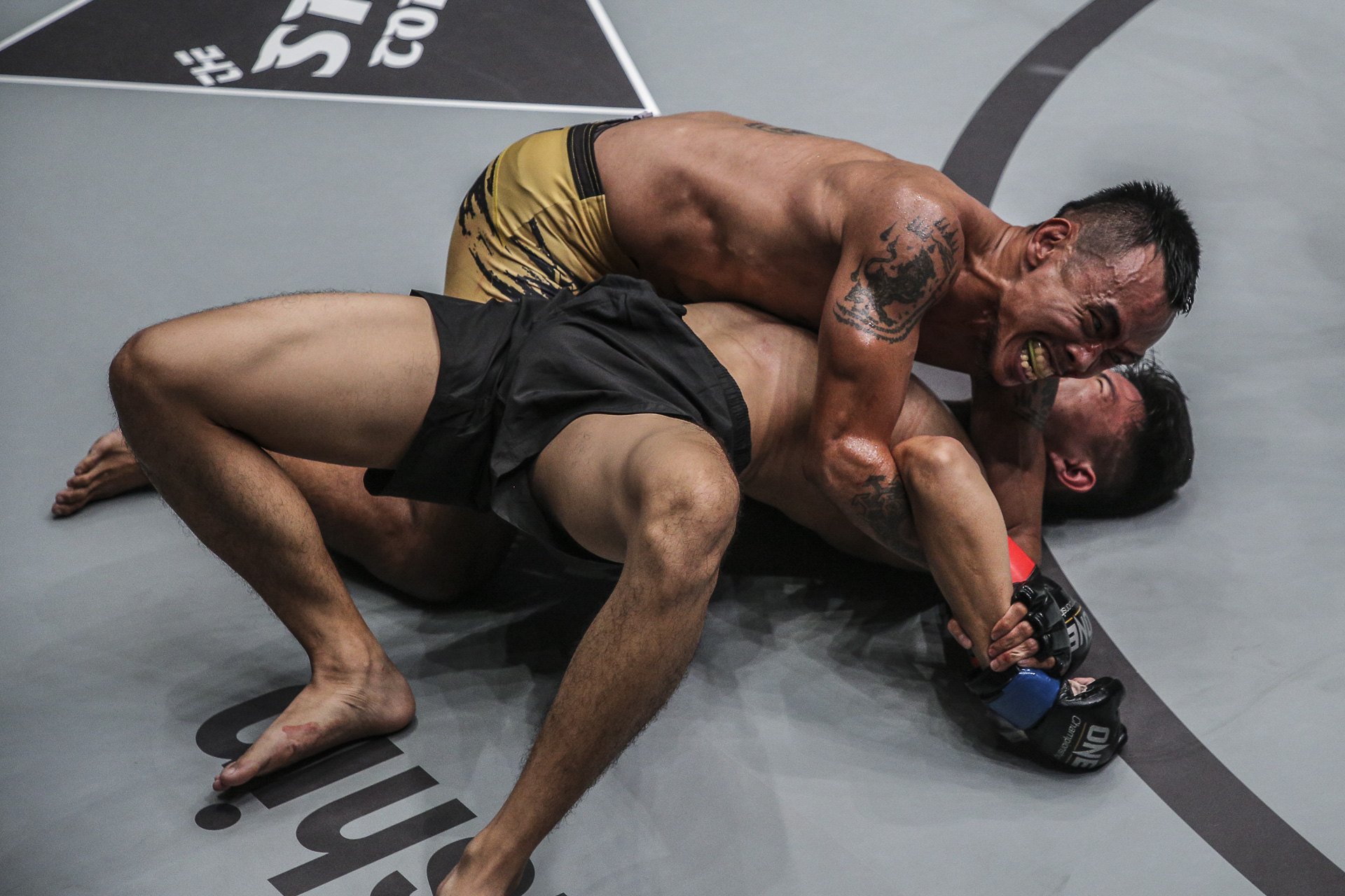 trực tiếp one championship 2018, one championship, one championship 