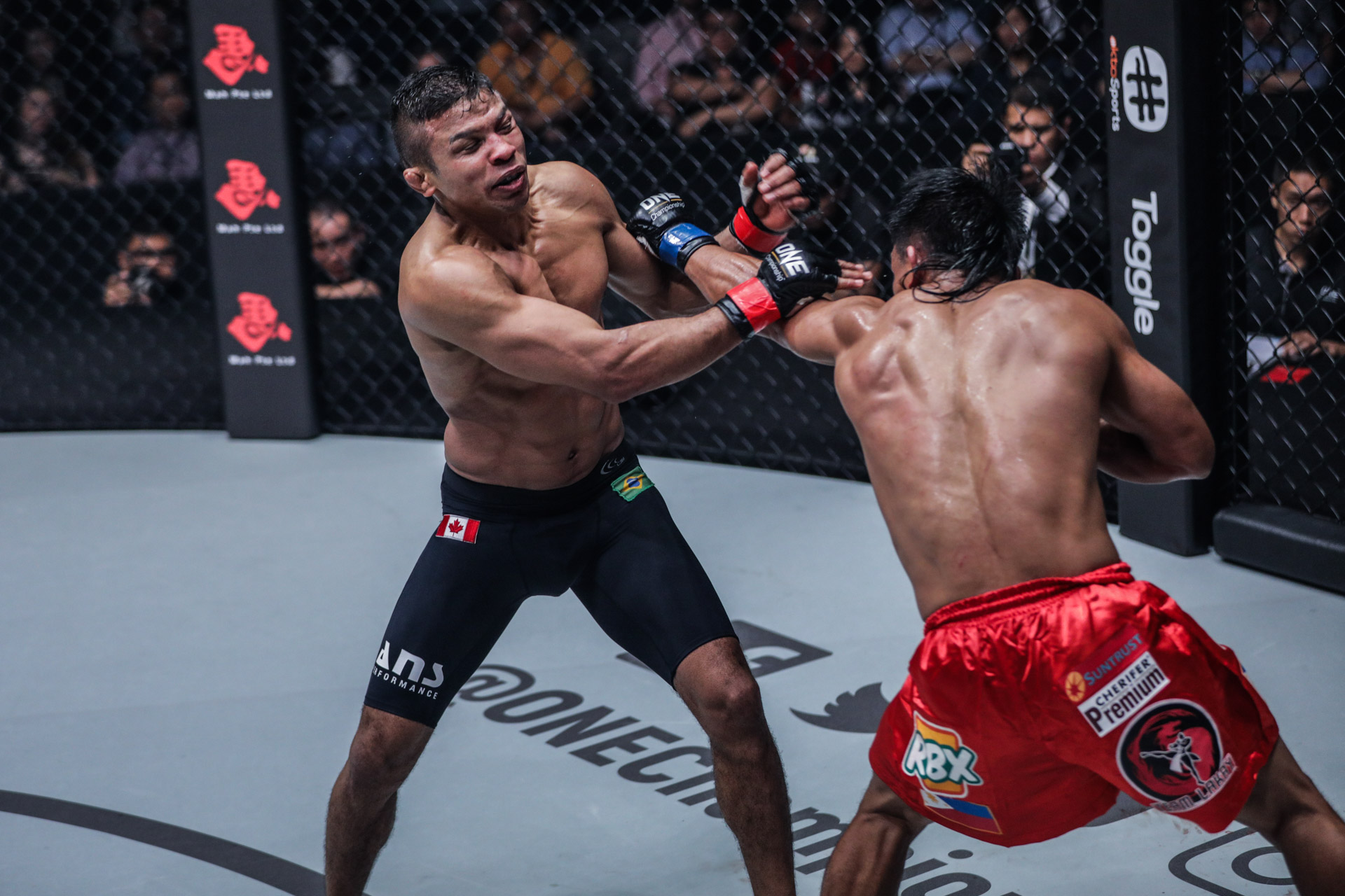 điểm yếu các võ sĩ châu á, MMA châu á, one warrior dream, one championship,
