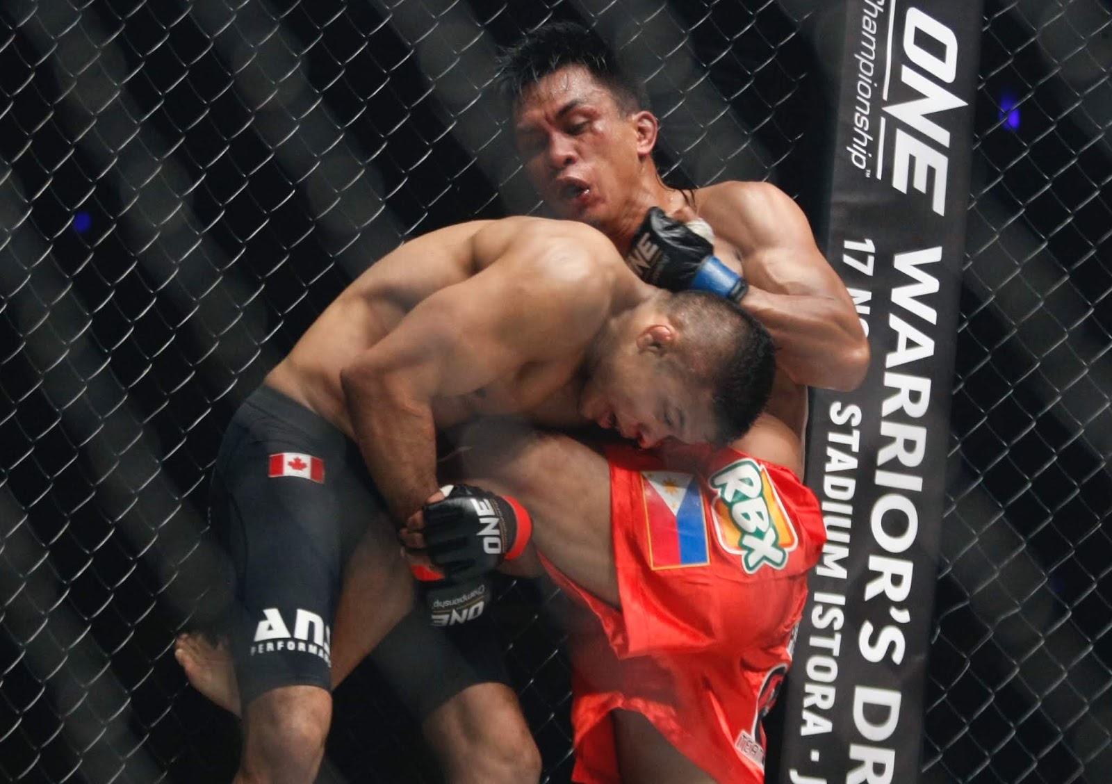 tán thủ, môn võ tán thủ, tán thủ lên sàn mma, tán thủ môn võ hiệu quả nhất,