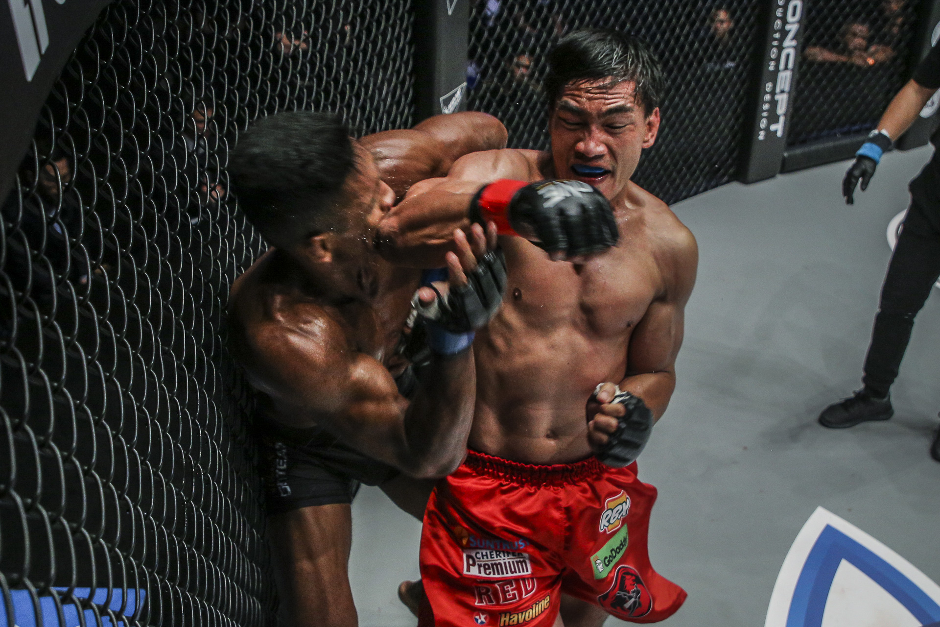tán thủ, môn võ tán thủ, tán thủ lên sàn mma, tán thủ môn võ hiệu quả nhất,