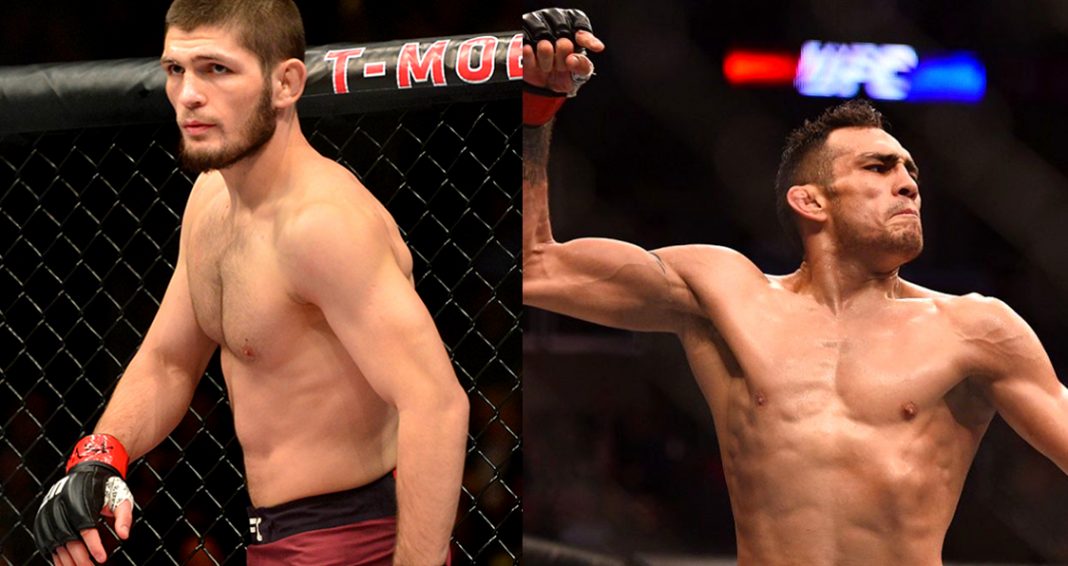 khabib nurmagomedov, khabib dập tắt tin đồn giải nghệ, khabib giải nghệ,