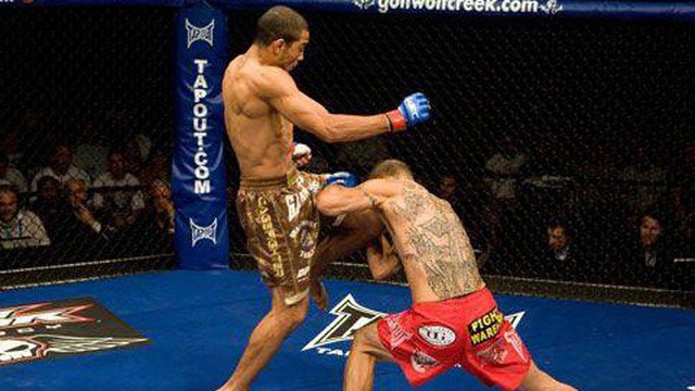 cub swanson, jose aldo, ufc 233, cub swanson phủ nhận tin đồn tái đấu,