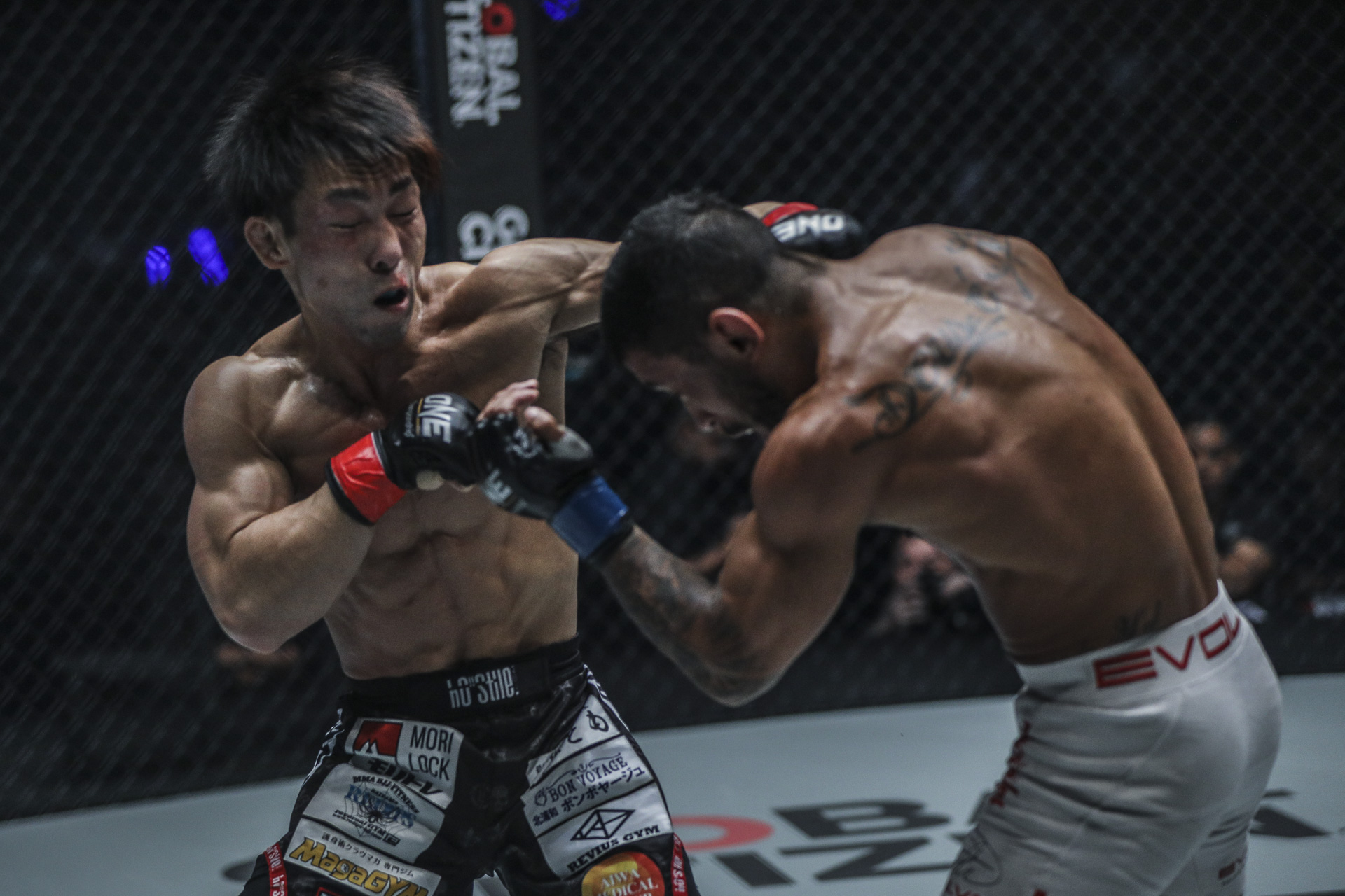 one championship, trực tiếp one championship, Fairtex vs Luis Regis, destiny of champion, xem trực tiếp one championship,