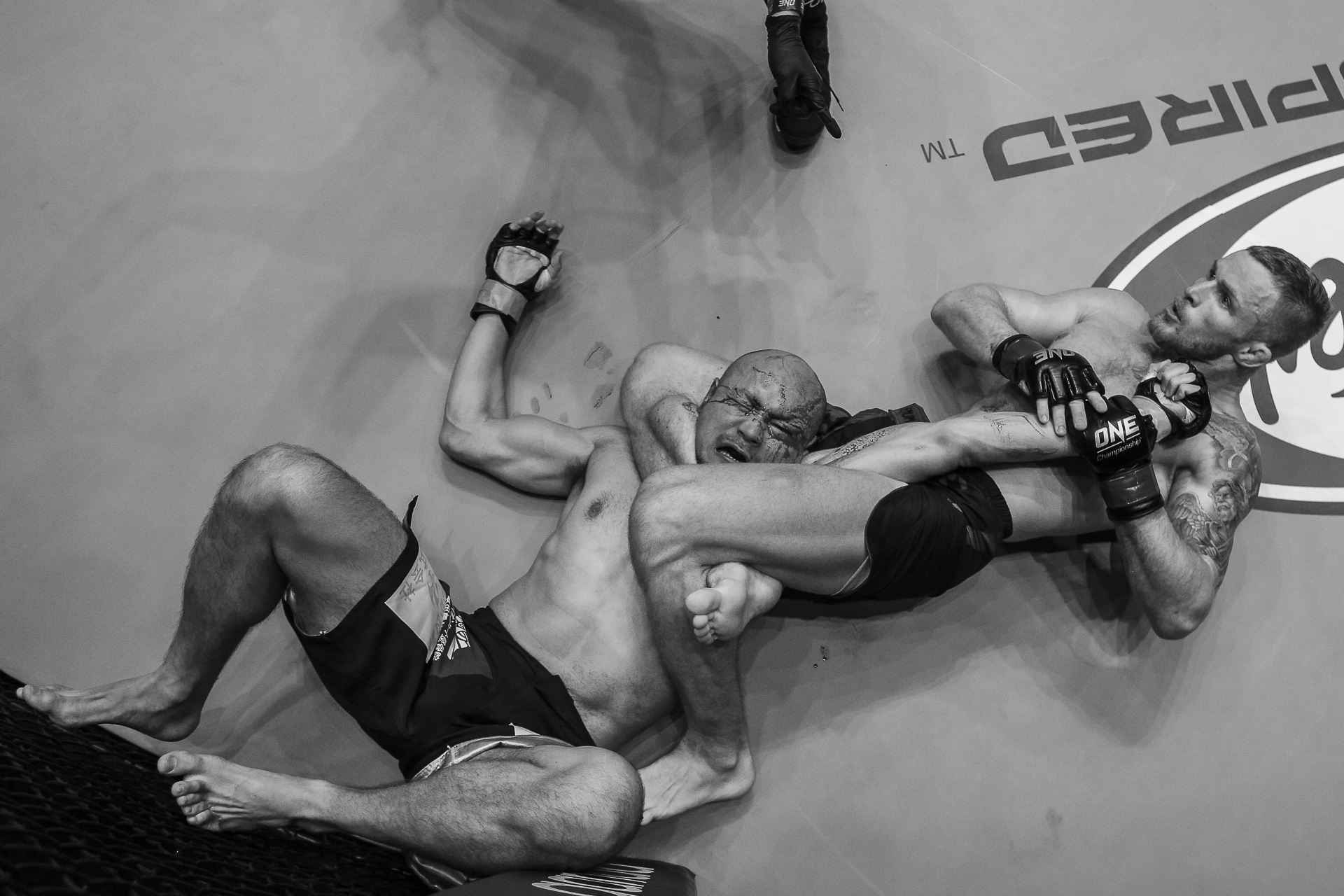 one championship, trực tiếp one championship, Fairtex vs Luis Regis, destiny of champion, xem trực tiếp one championship,