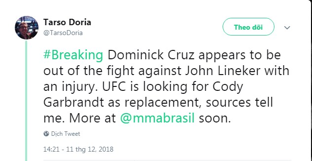 dominick cruz, dominick cruz chấn thương, rút lui ufc 233, ufc 233