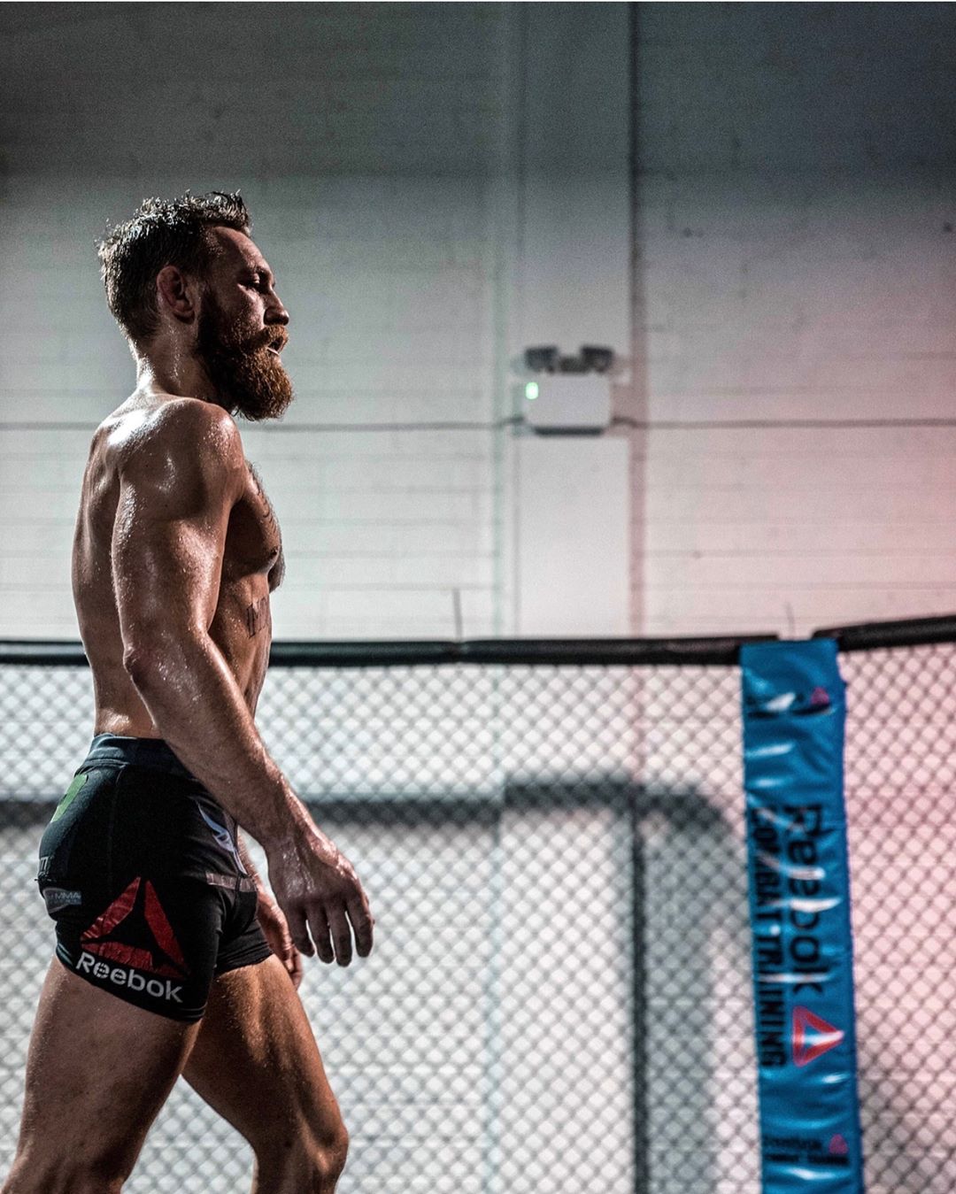 conor mcgregor, conor luyện độc chiêu, conor mcgregor tái xuất,
