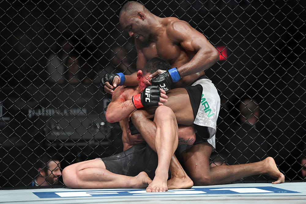 ufc, mma, tyron woodley, kamaru usman, ufc 235, tyrone woodley vs kamaru usman,