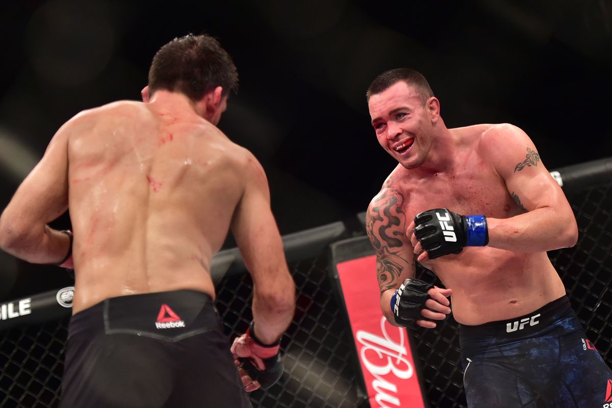 ufc 2019, 5 trận đấu nên diễn ra nhất 2019 ufc, conor, khabib, tony, woodley, gsp
