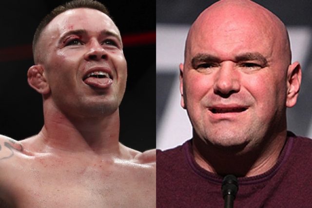 ufc, tranh đai ufc, colby covington, covington nổi khùng, 