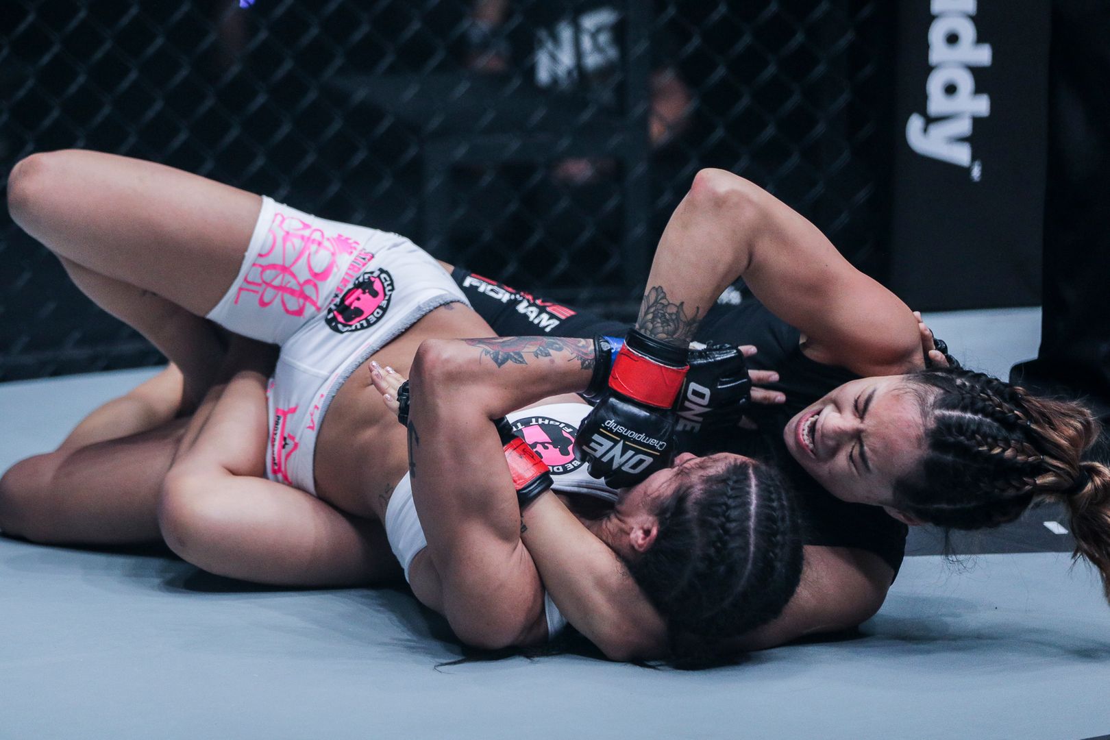ufc 2019, 5 trận đấu nên diễn ra nhất 2019 ufc, conor, khabib, tony, woodley, gsp