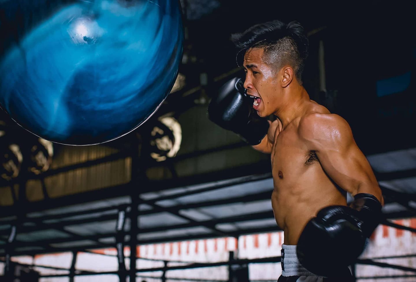 boxing, trần văn thảo, boxing việt nam,