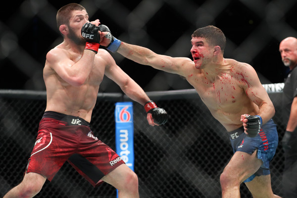 ufc, mma, conor mcgregor, al iaquinta, ufc 229,