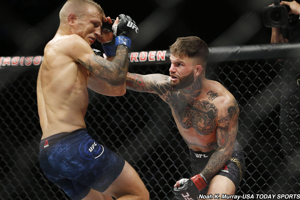 ufc, mma, tj dillashaw, henry cejudo, dillashaw xuống hạng,