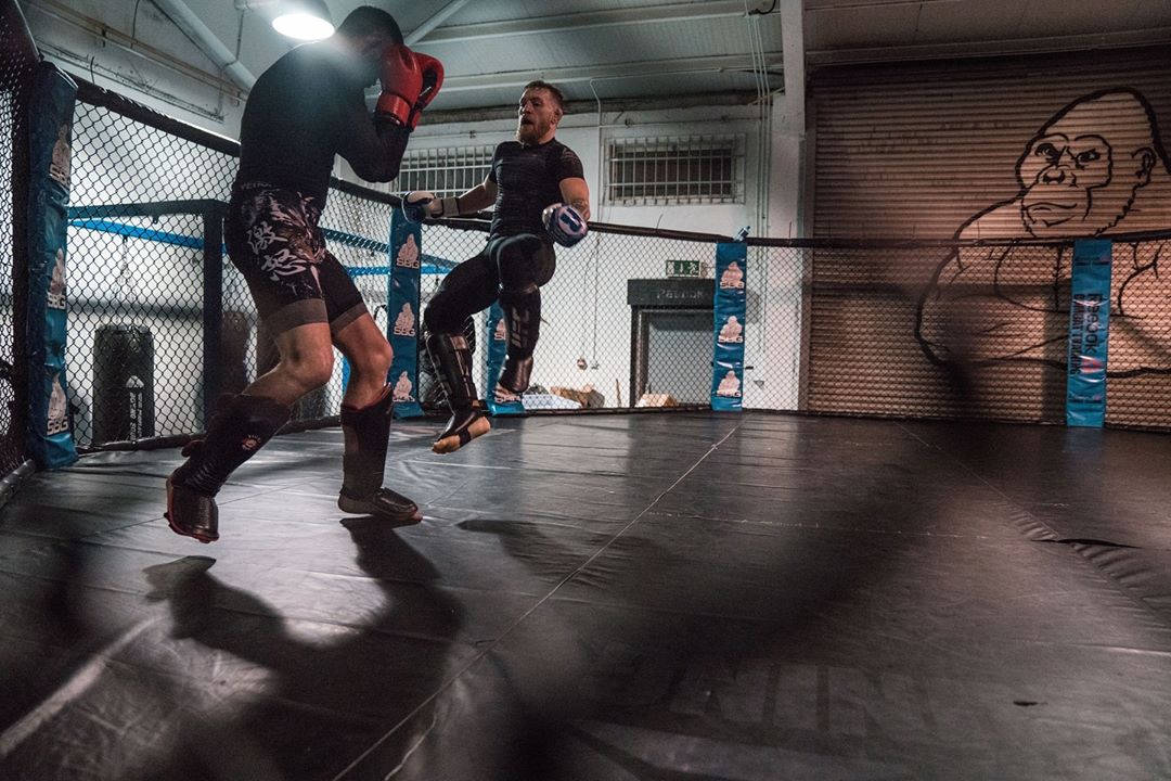 conor mcgregor, ufc, mma, donald cerrone, conor mcgregor rủ cerrone nhậu,