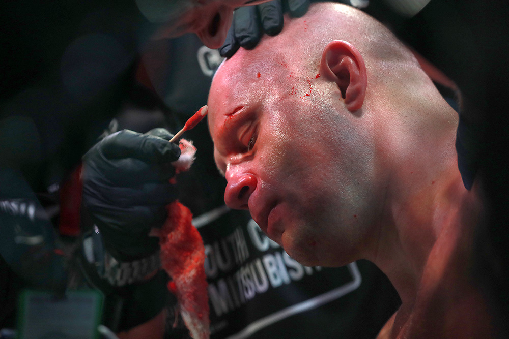 mma, fedor, bellator, ryan bader