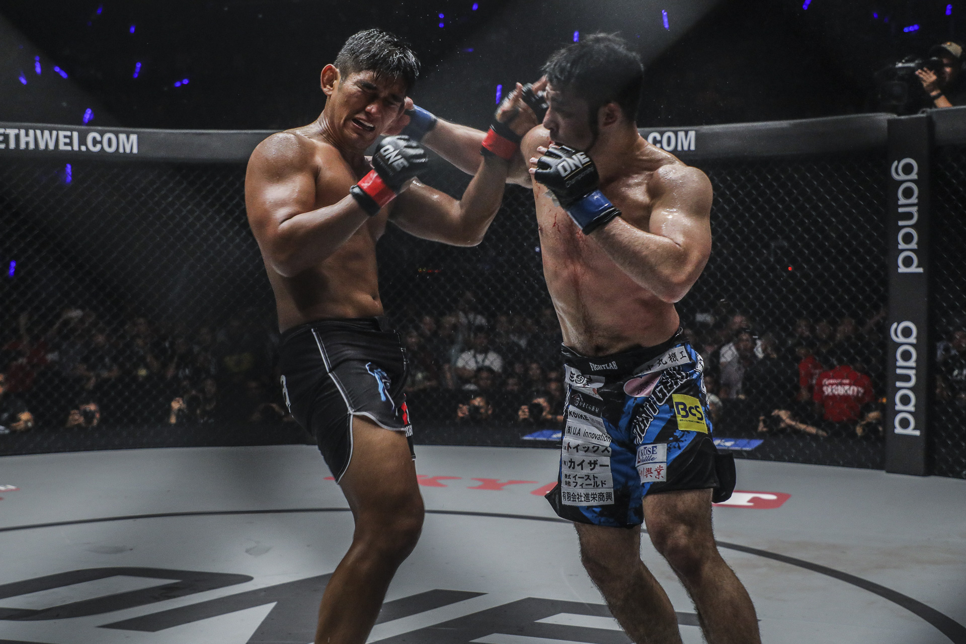 one championship, one a new era, kevin belingon, bibiano fernandes,