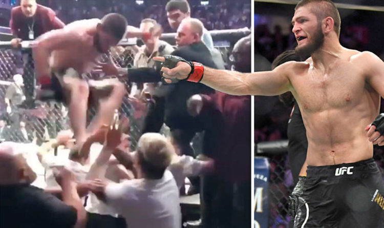 ufc, mma, khabib, conor mcgregor, khabib vs conor, ufc 229, án phạt ufc 229