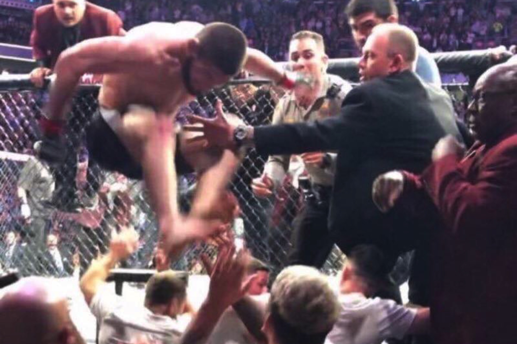 ufc, ufc 229, khabib nurmagomedov, leonardo dicarprio