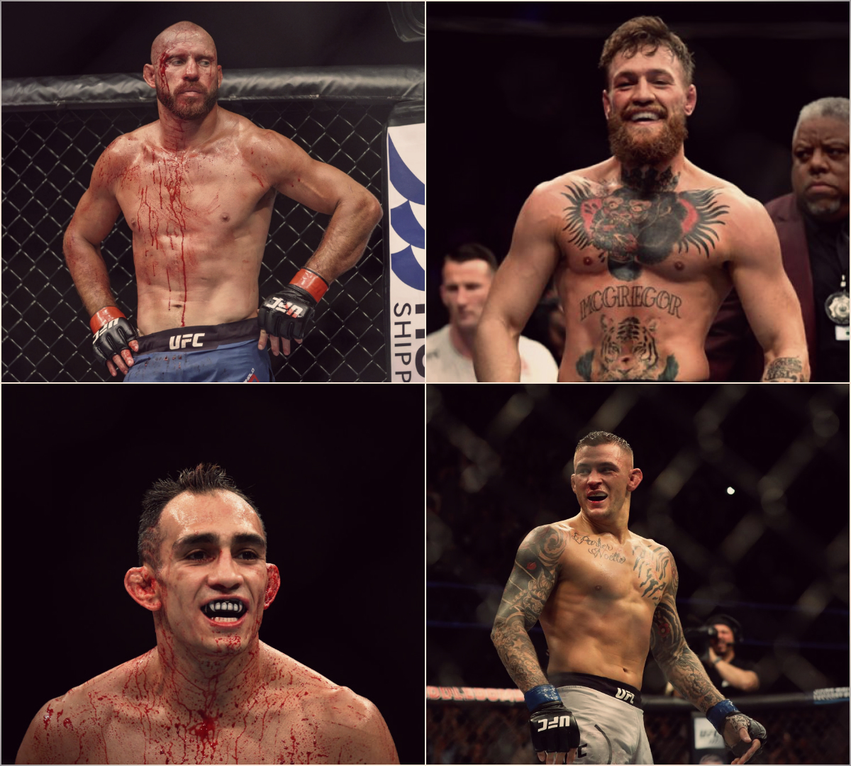 ufc, dana white, khabib, 