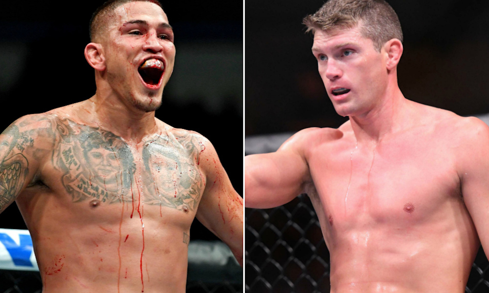 anthony pettis, stephen thompson, ufc, mma