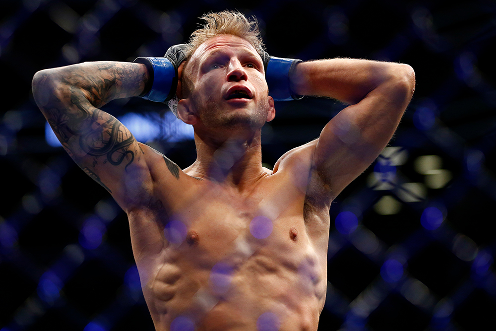 conor mcgregor, tj dillashaw, ufc,