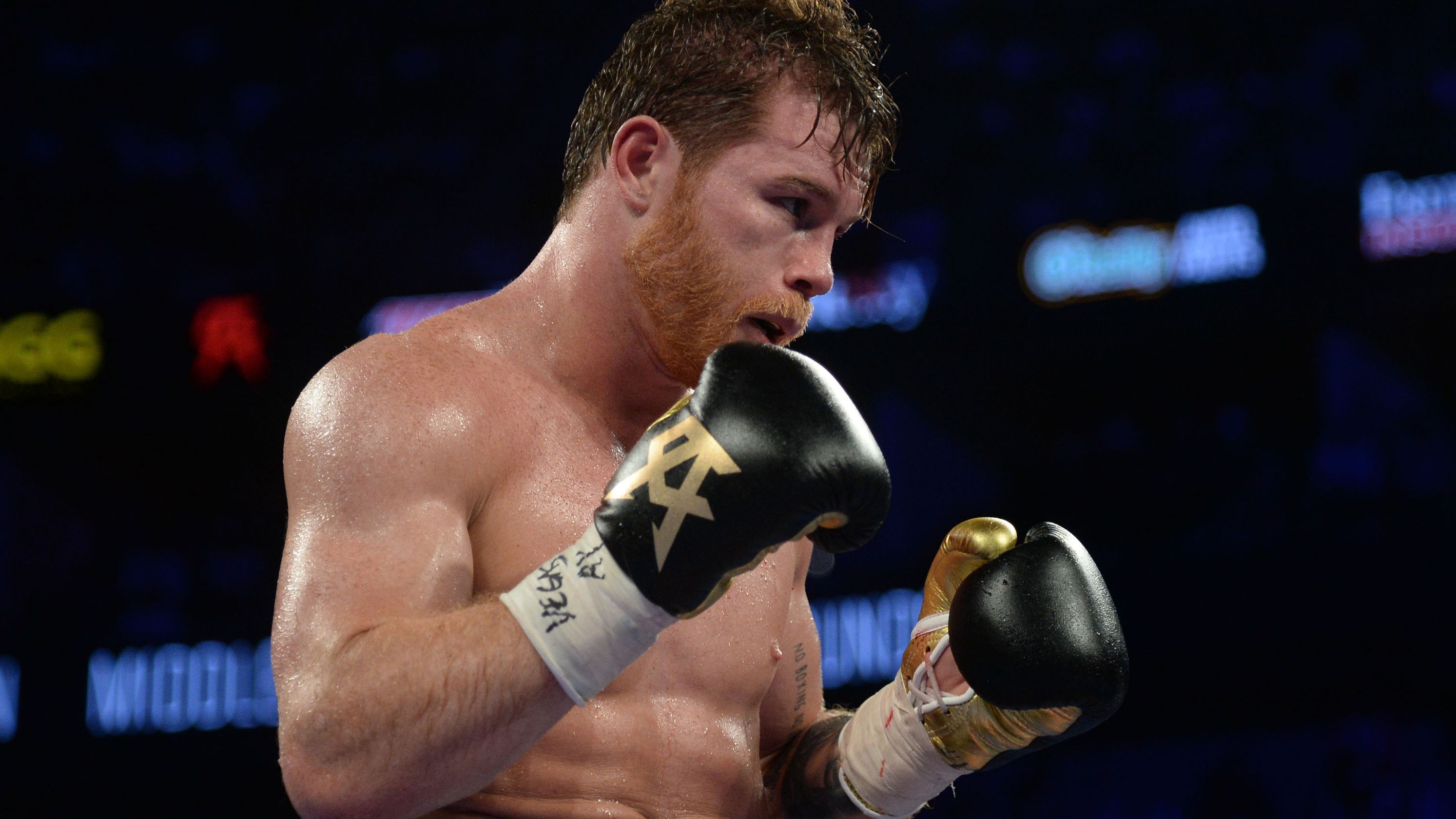 boxing, trực tiếp boxing, canelo alvarez, daniel jacobs,