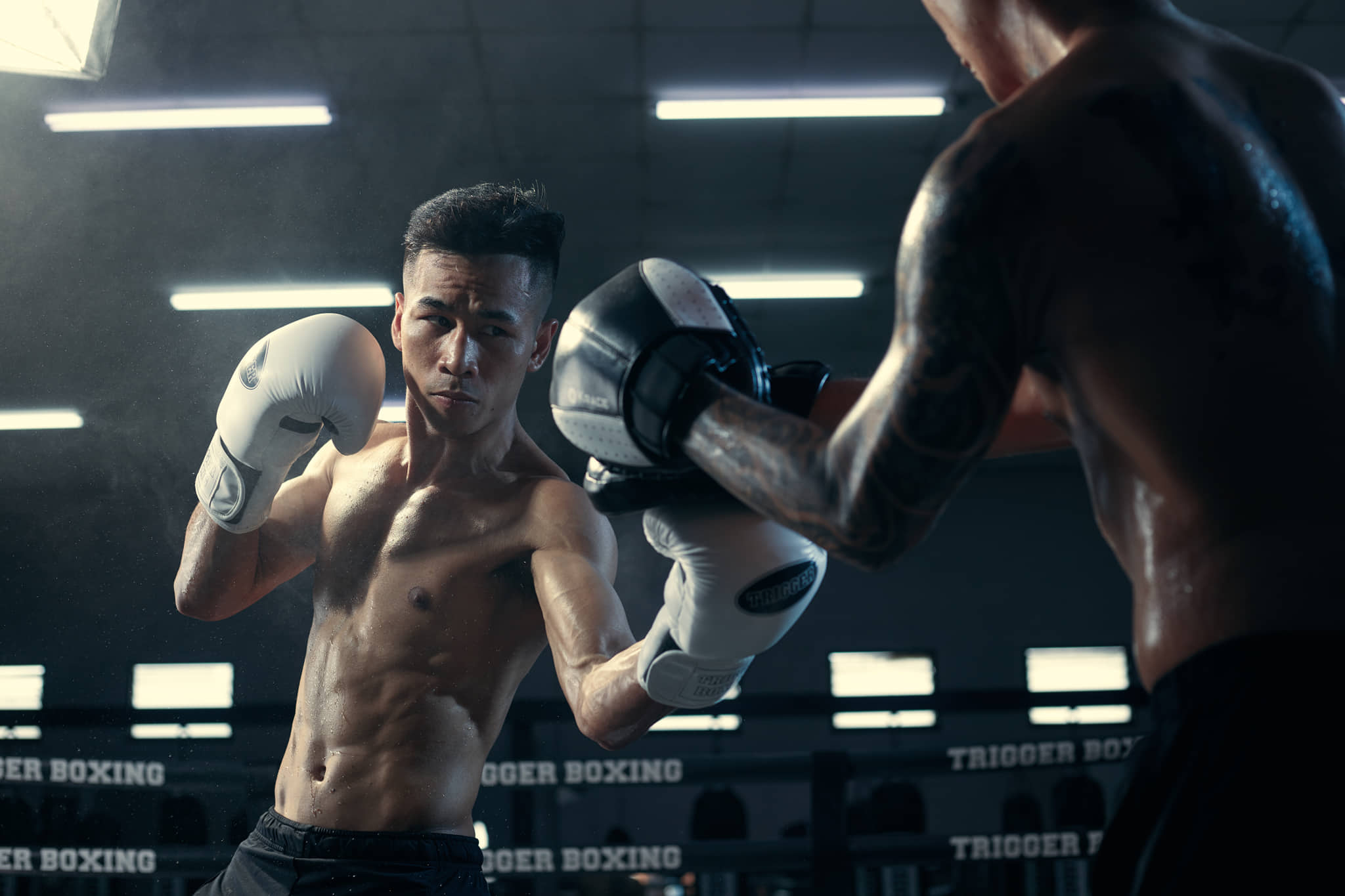 trần văn thảo, trương đình hoàng, boxing, wba asia, trần văn thảo wbc asia,