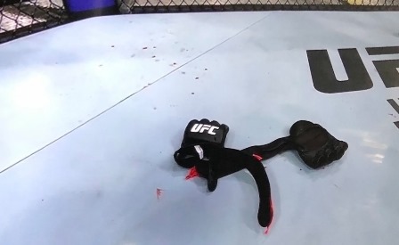 trực tiếp ufc, xem trực tiếp ufc, alexander gustafsson, anthony smith, 