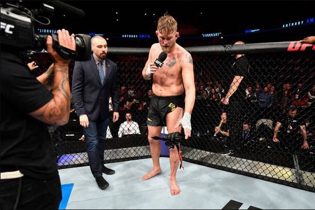 võ thuật, võ sĩ, MMA, Anthony Smith, Alexander Gustafsson