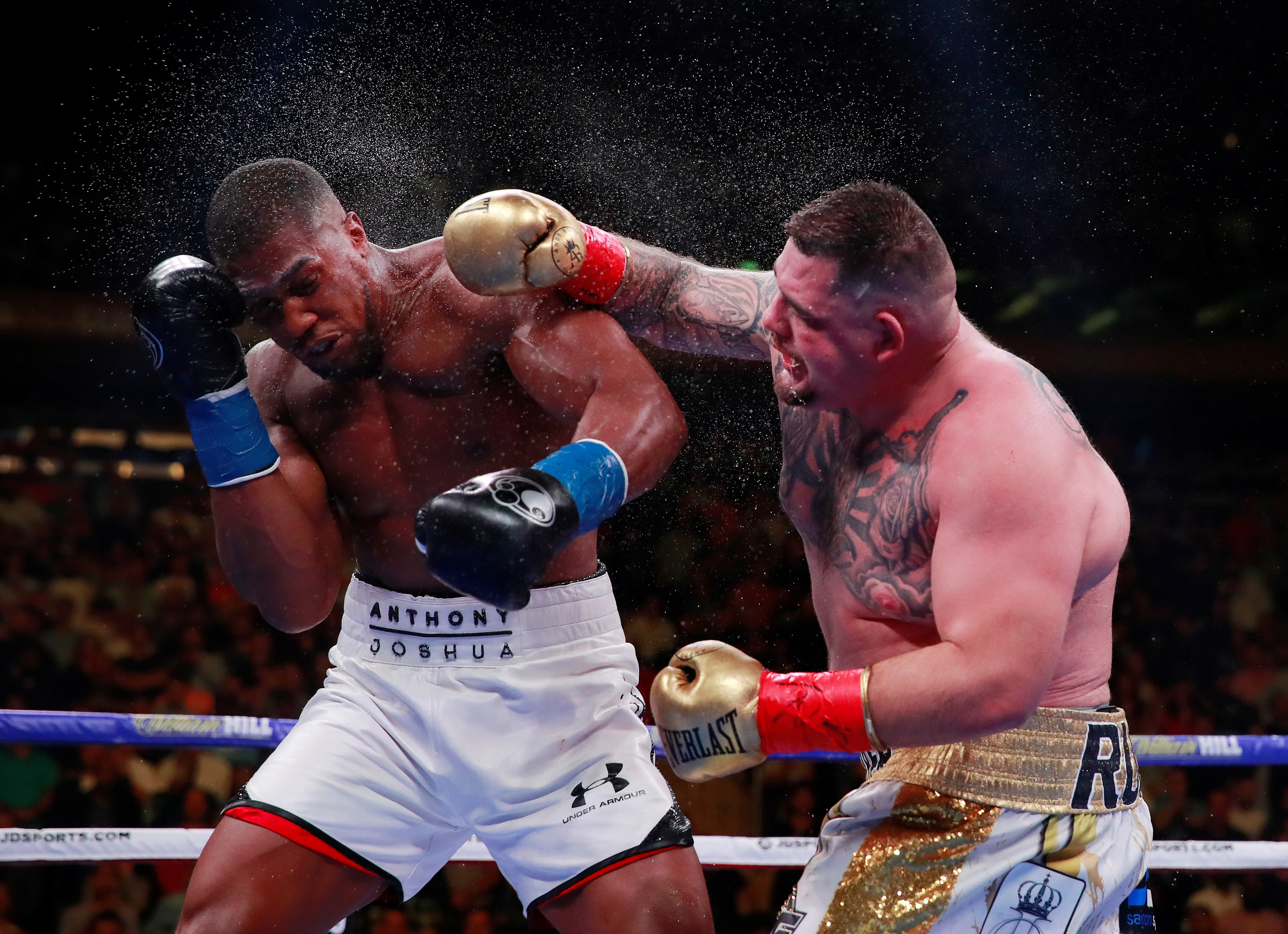 anthony joshua, andy ruiz, anthony joshua thua sốc, anthony joshua tái đấu, boxing,