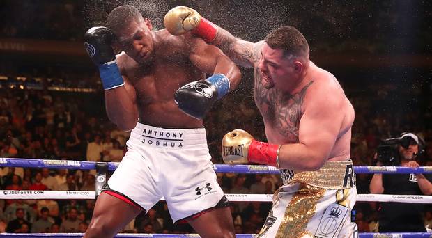 anthony joshua, andy ruiz, freddie roach, boxing,